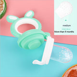 Baby Pacifiers Feeder Kids Fruit feeding nipple